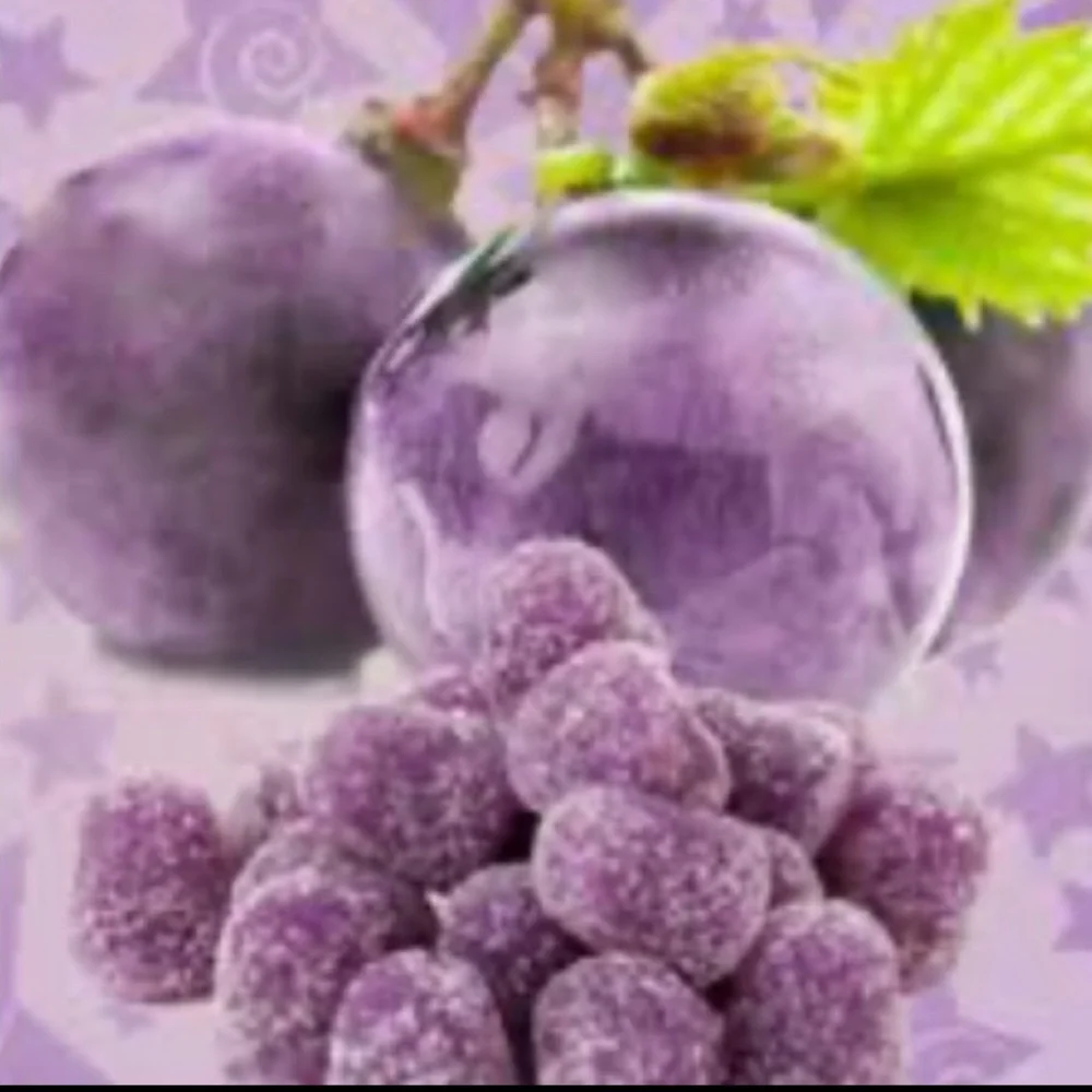 Grape Happy Camper Soy Wax Melt 2.5 oz | Melts For Wax Warmer